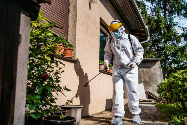 Best Pest Control Near Me  in Lake Vla, IL