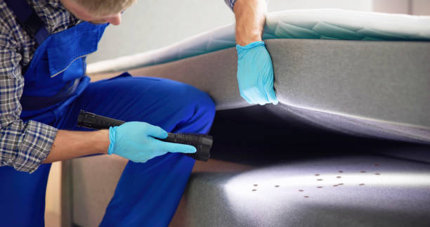 Best Commercial Pest Control Services  in Lake Vla, IL
