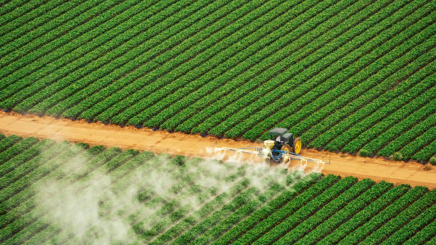 Best Mosquito Control Services  in Lake Vla, IL
