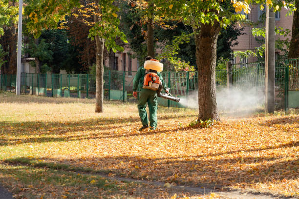 Best Local Pest Control Services  in Lake Vla, IL