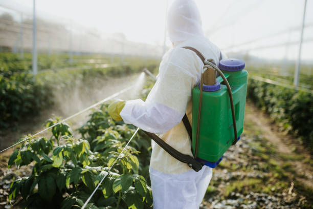 Best Cockroach Control Services  in Lake Vla, IL